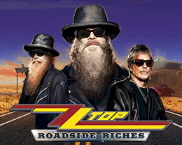 ZZ Top Roadside Riches